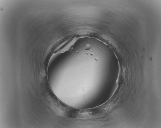 X0000076450407200610161316