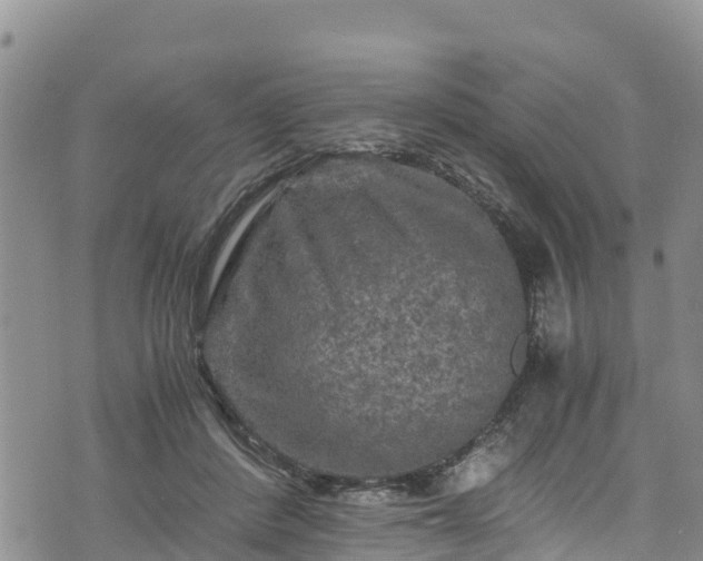 X0000076450408200610161316