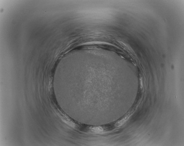 X0000076450409200610161316