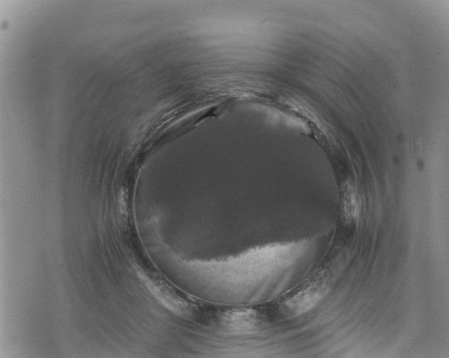 X0000076450410200610161316