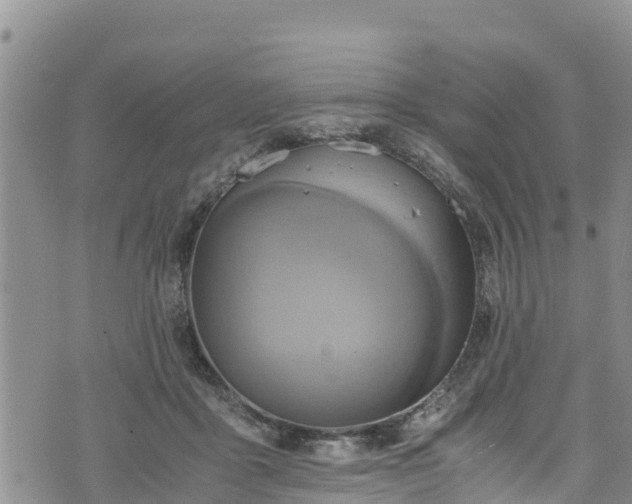 X0000076450411200610161316