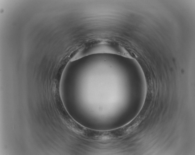 X0000076450412200610161316