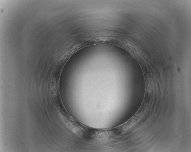 X0000076450414200610161316