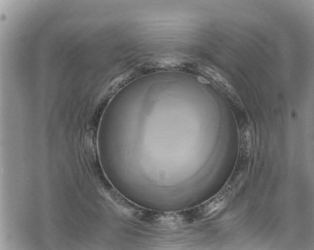 X0000076450415200610161316