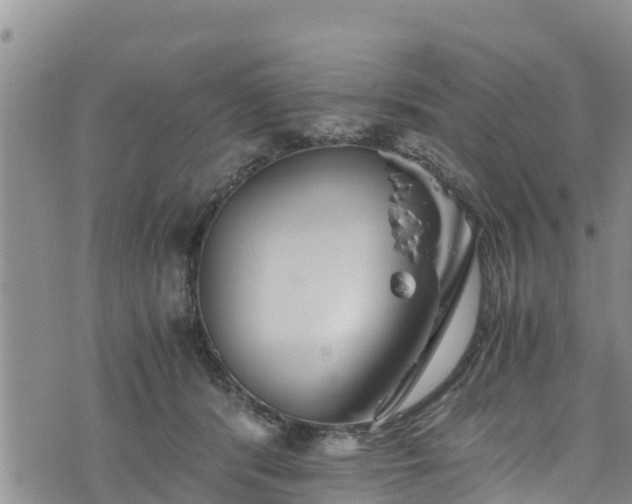 X0000076450416200610161316