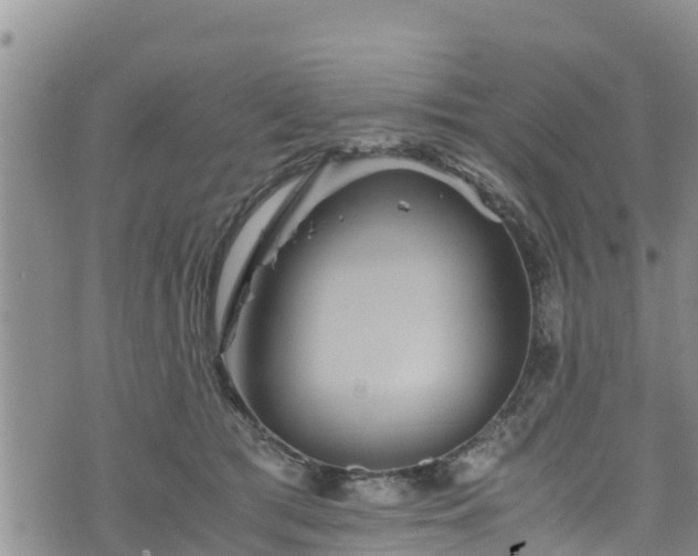 X0000076450417200610161316