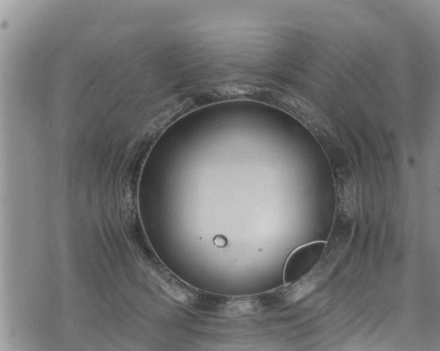 X0000076450418200610161316