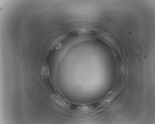 X0000076450419200610161316