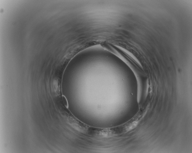 X0000076450420200610161316