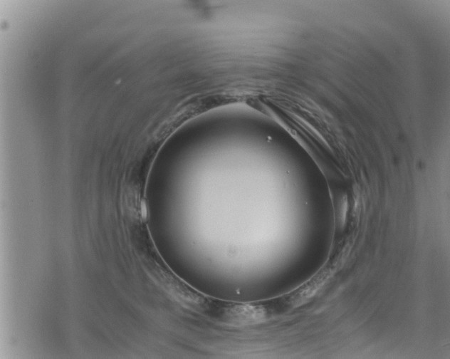 X0000076450421200610161316