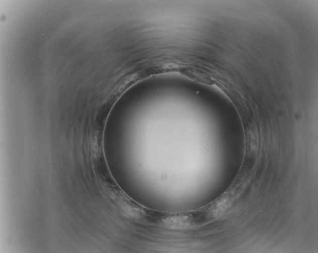 X0000076450422200610161316