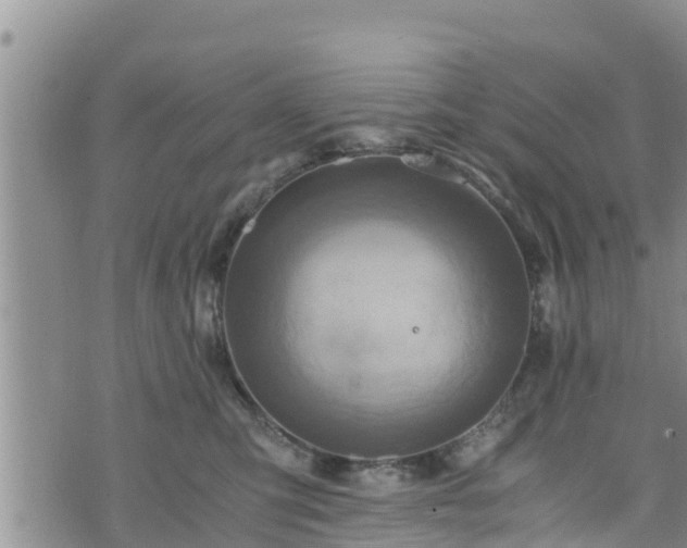 X0000076450423200610161316