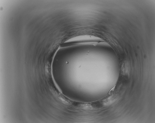 X0000076450424200610161316