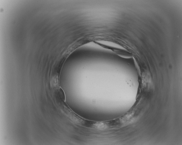 X0000076450425200610161316