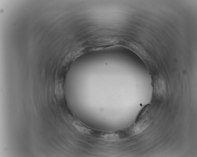 X0000076450426200610161316