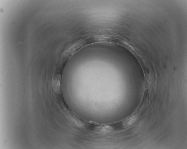 X0000076450427200610161316