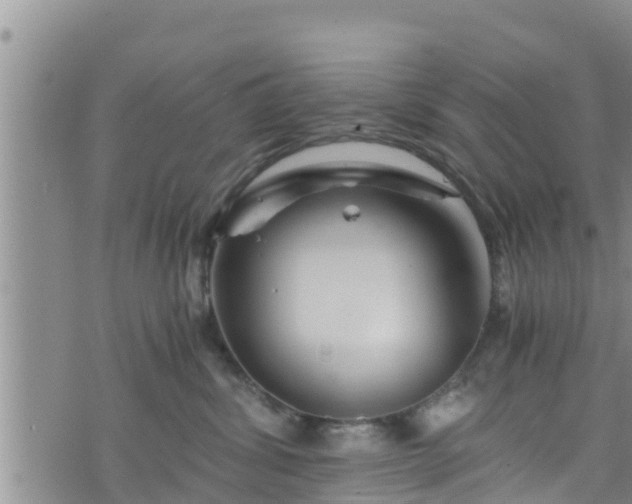 X0000076450428200610161316