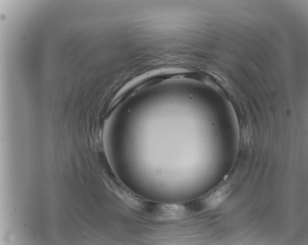 X0000076450429200610161316