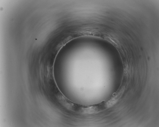 X0000076450430200610161316