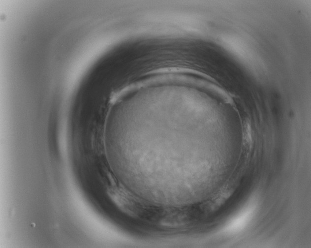 X0000076450431200610161316