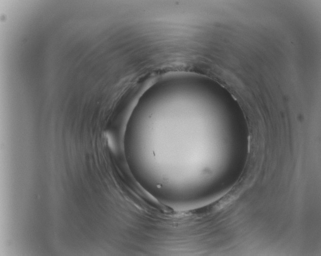 X0000076450432200610161316