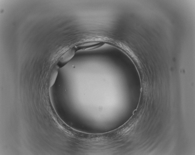 X0000076450433200610161315