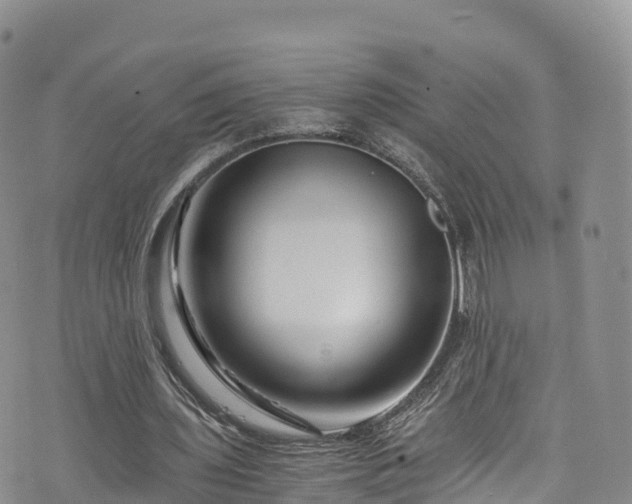 X0000076450435200610161315