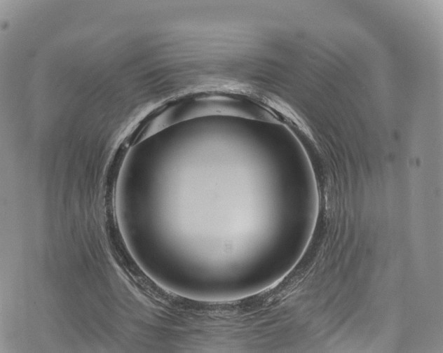 X0000076450436200610161315