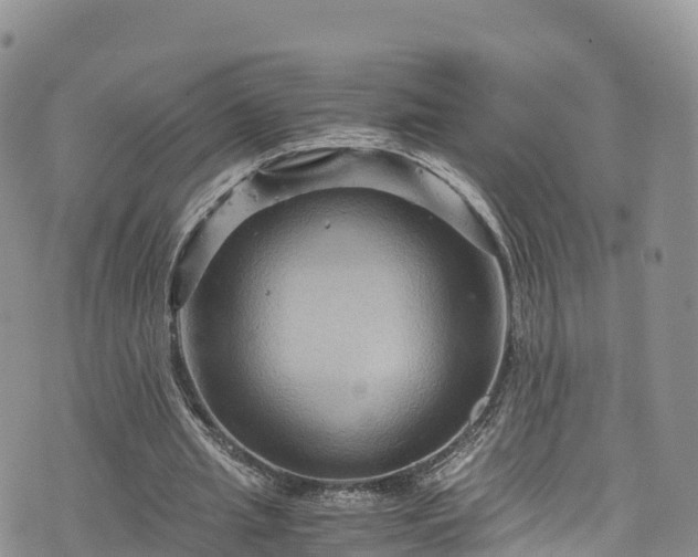 X0000076450437200610161315