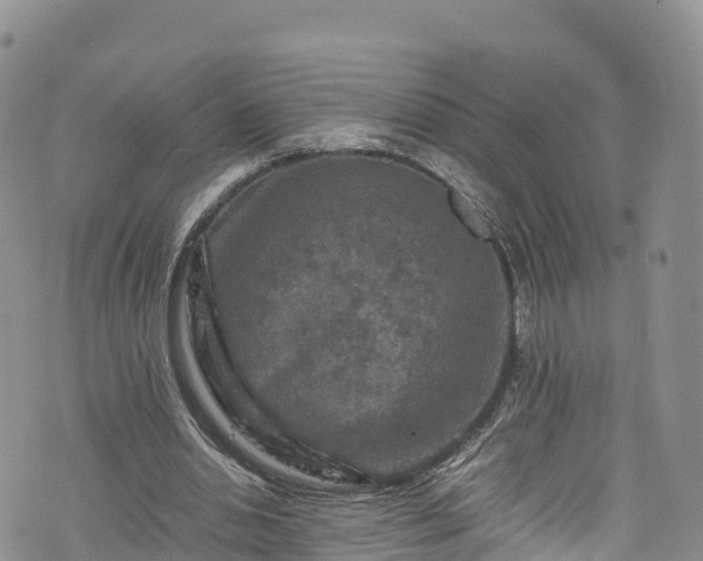 X0000076450438200610161315