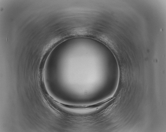 X0000076450439200610161315