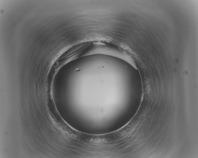 X0000076450440200610161315