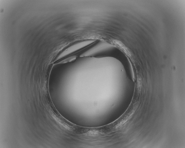 X0000076450441200610161315