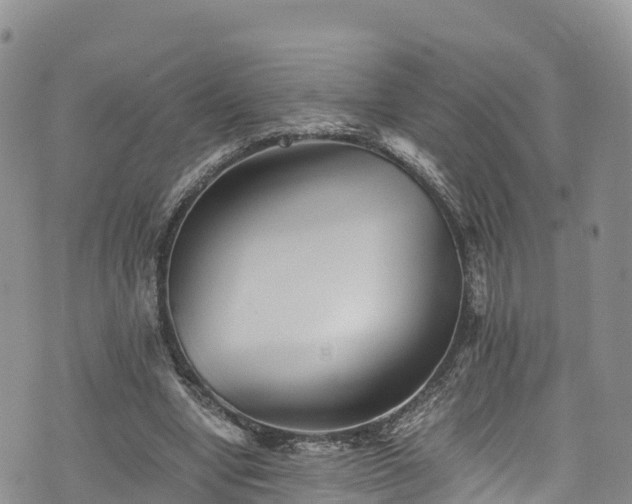 X0000076450442200610161315