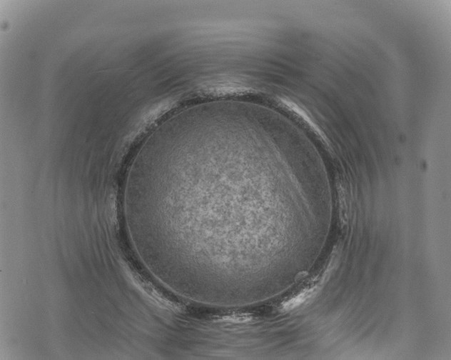 X0000076450447200610161315