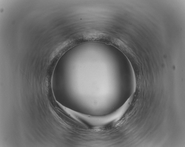 X0000076450448200610161316