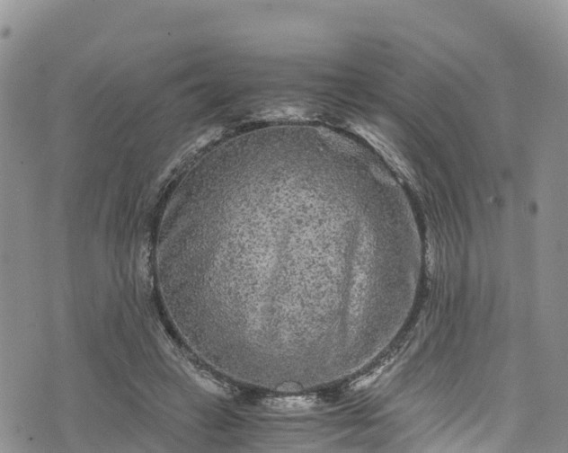 X0000076450449200610161316