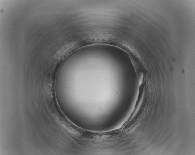 X0000076450450200610161316