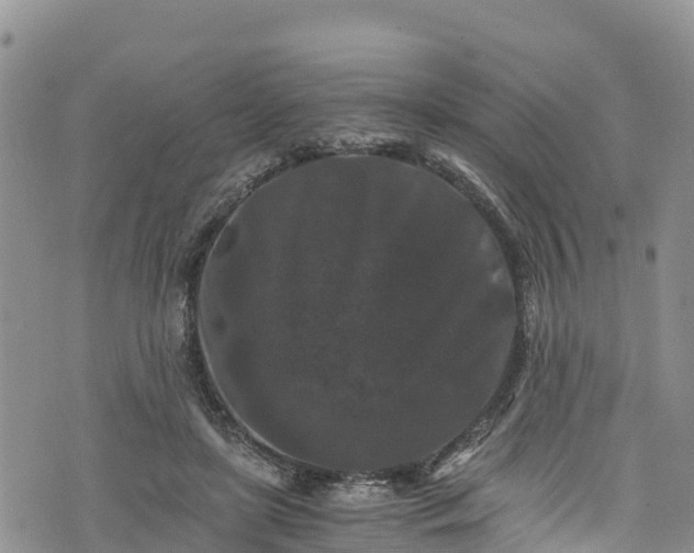 X0000076450451200610161316