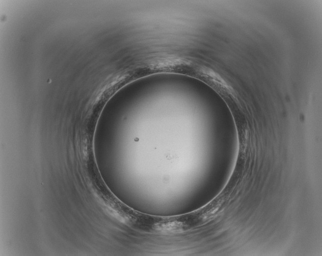 X0000076450452200610161316