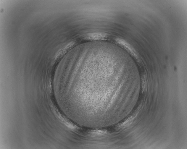 X0000076450453200610161316