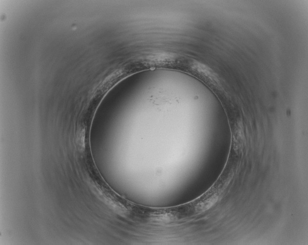 X0000076450454200610161316