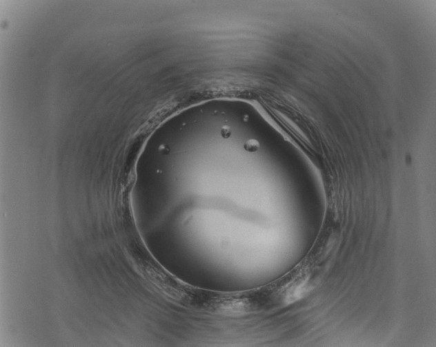 X0000076450456200610161316