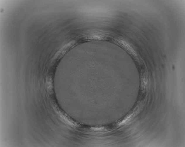 X0000076450457200610161316