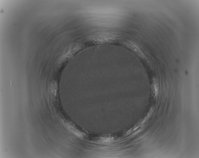 X0000076450458200610161316