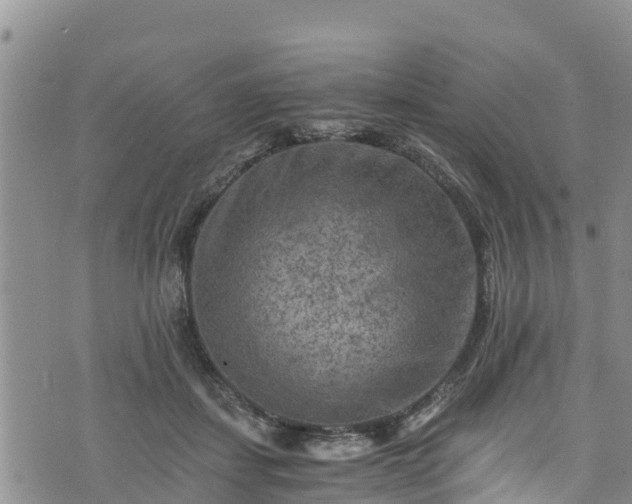 X0000076450459200610161316