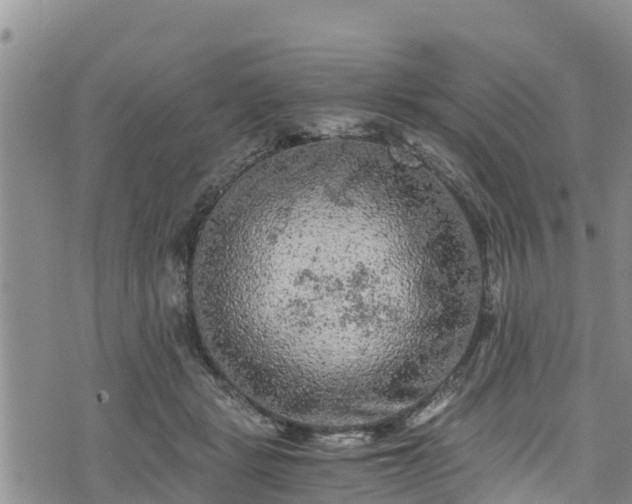 X0000076450461200610161316