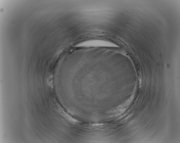 X0000076450462200610161316