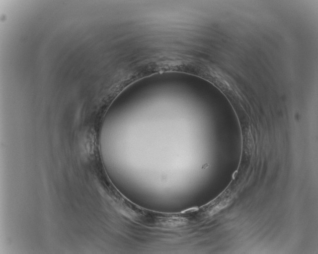 X0000076450463200610161316