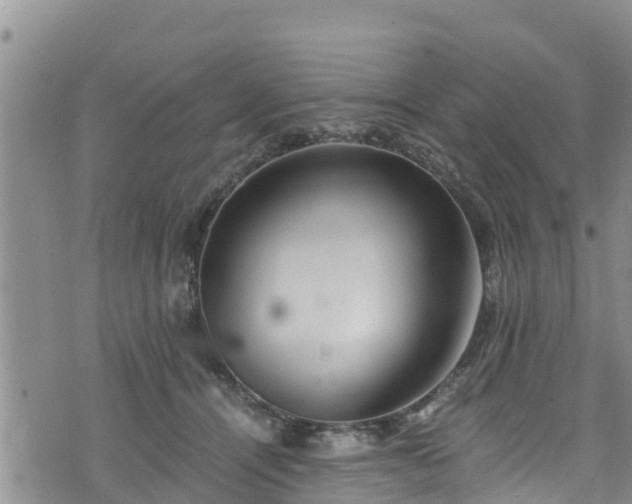 X0000076450464200610161316